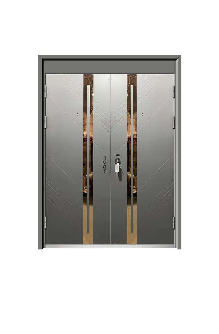 double matte gray steel security door with a bronze accent